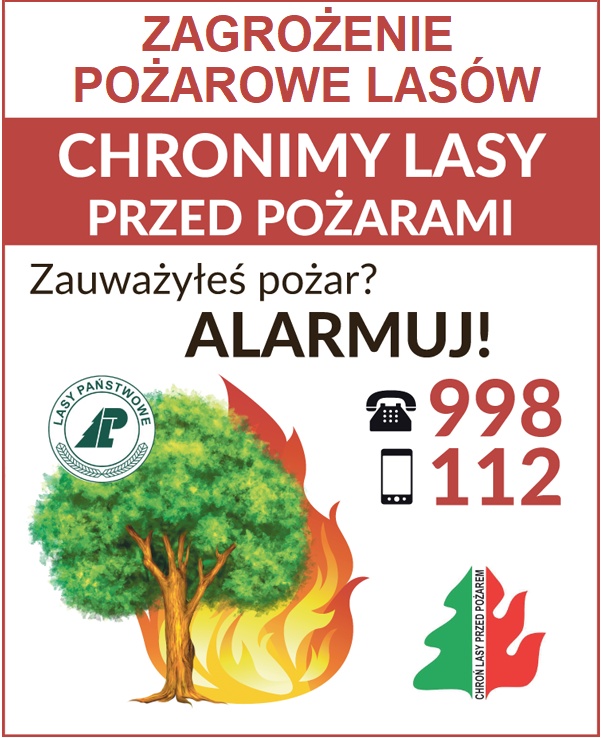 System ochrony pożarowej w Nadleśnictwie Koło